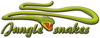 Jungle Snakes